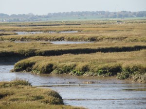 Stone Marsh, the Naze - credit Ben Eagle