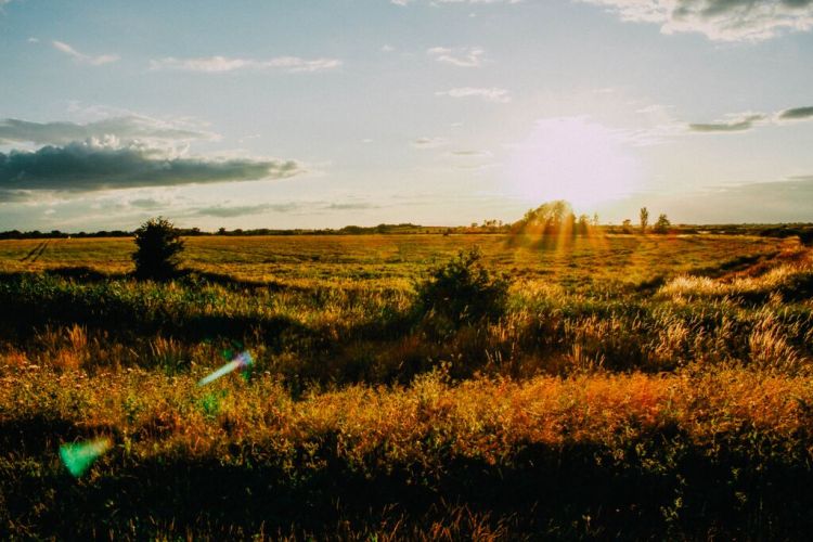 s9VOuS2_JAioiy4XineXX2J5I1_CrkEV6qyjU3Irt-g