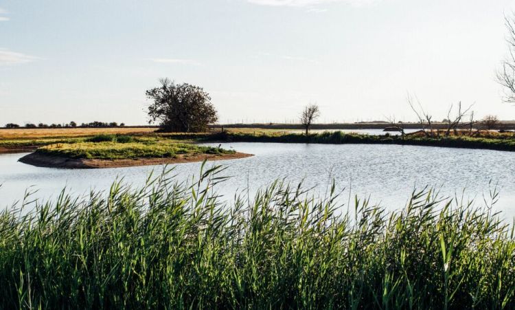 aCgRbwmrF6AUscwHC2bzH2-Yd3ekWn6UxG0V7kEHh4g