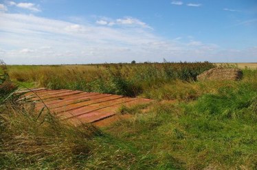 St_Osyth_Marsh_-_geograph.org.uk_-_537559