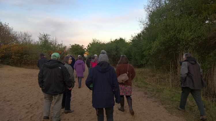 WP_20170501_20_02_19_Pro