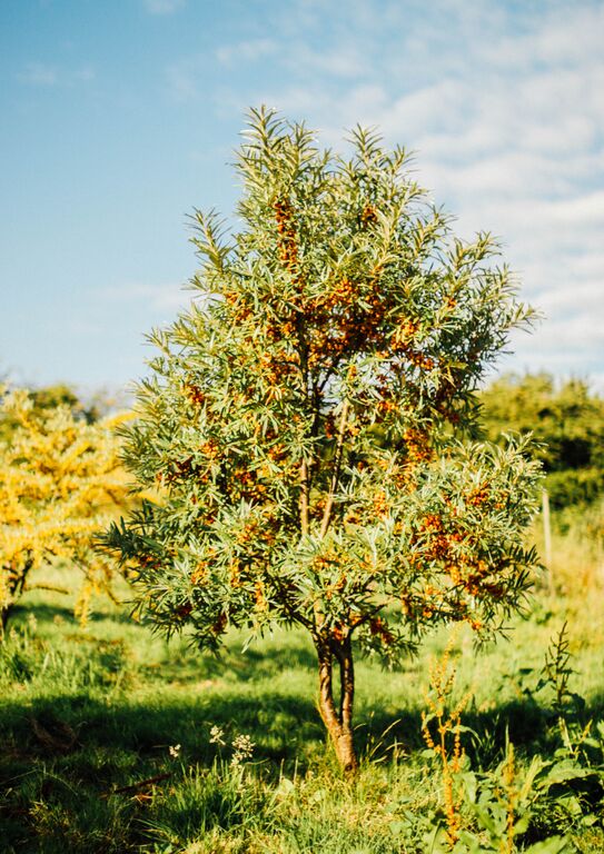 0ZWH9aRhwZX9q-nDslvfWhYHtDNmVkT-IlII44tGcM8