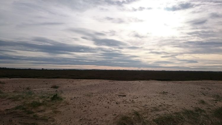 22906495_10155871691807277_1615416122_o