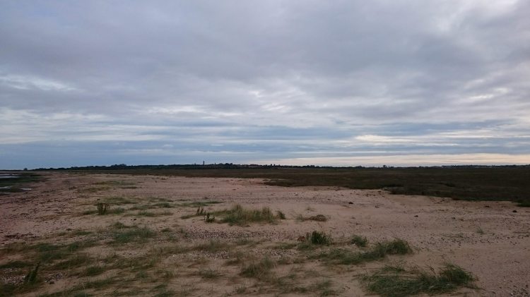 22908572_10155871691597277_2118071942_o