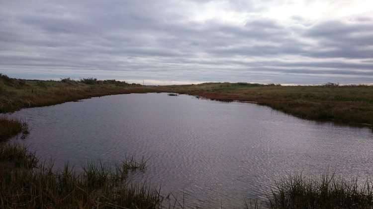 23023126_10155871691562277_94481348_o