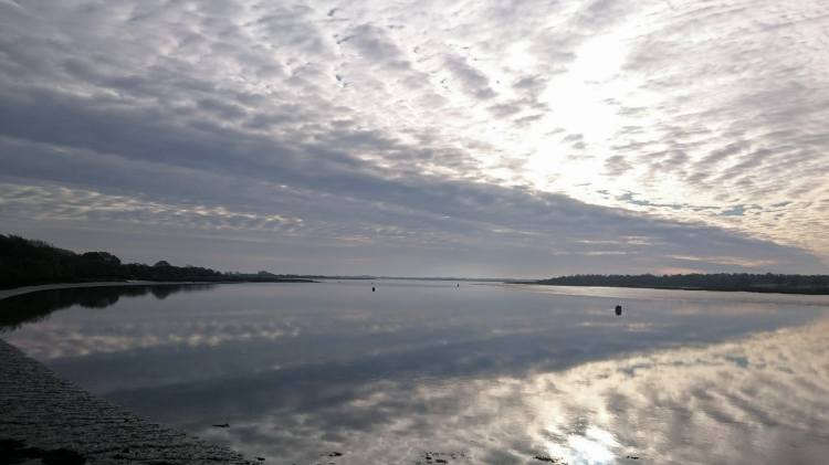 24474665_10155966317447277_1817449971_o