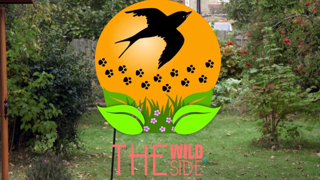 the-wild-side-ep4