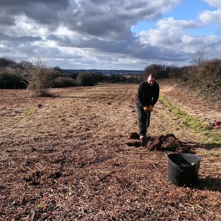 28034536_10156152616222277_937675525_o